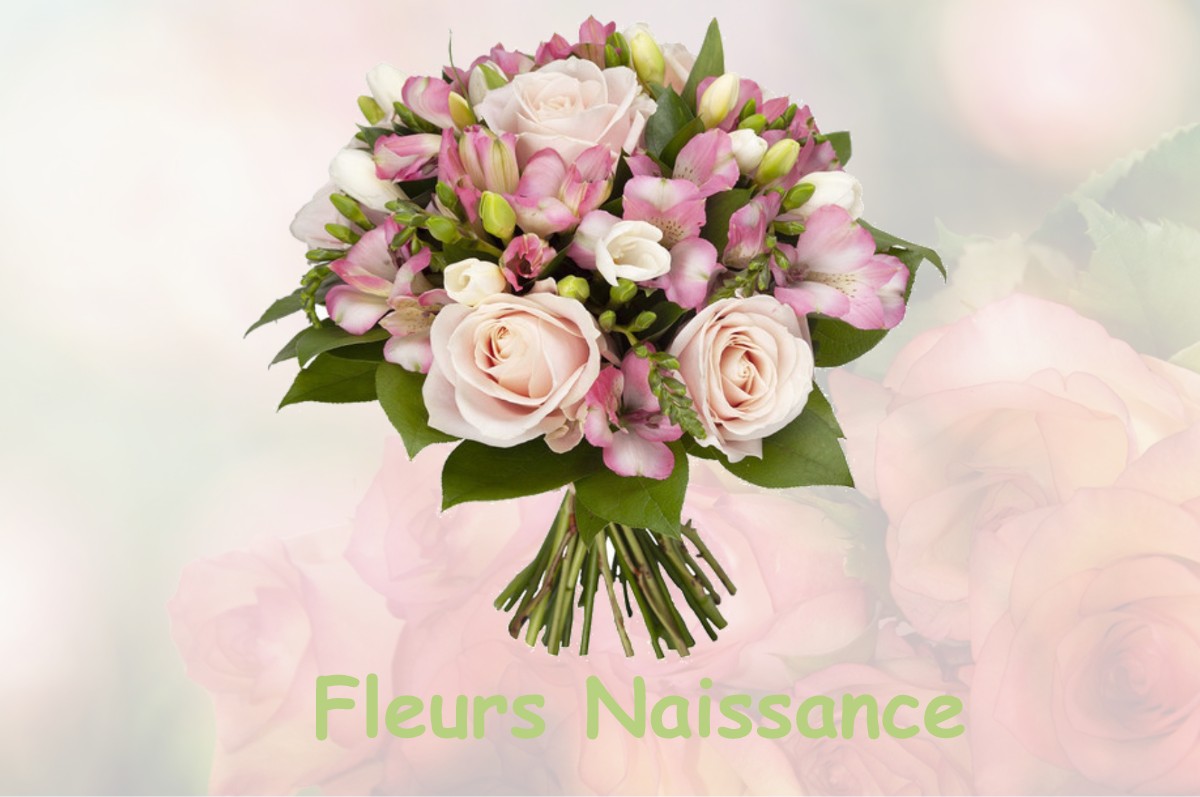 fleurs naissance ROUVRAY-SAINTE-CROIX