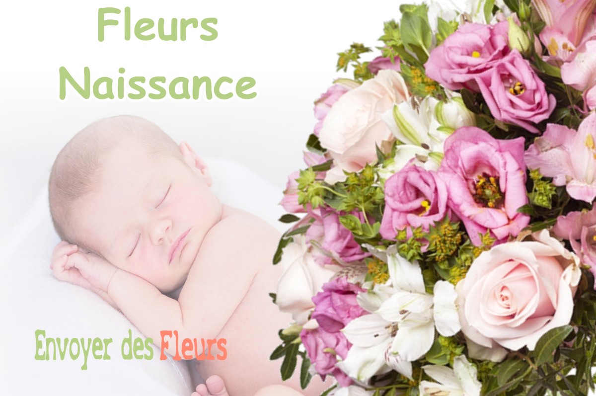 lIVRAISON FLEURS NAISSANCE à ROUVRAY-SAINTE-CROIX